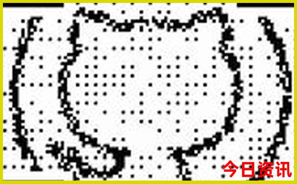 四天可以去哪里旅游